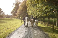 Ireland-Monaghan-Castle Leslie Equestrian Escape